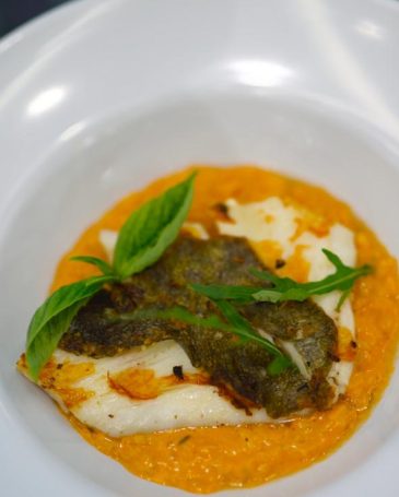 WhatsApp Image 2023-06-21 at 15.19.17